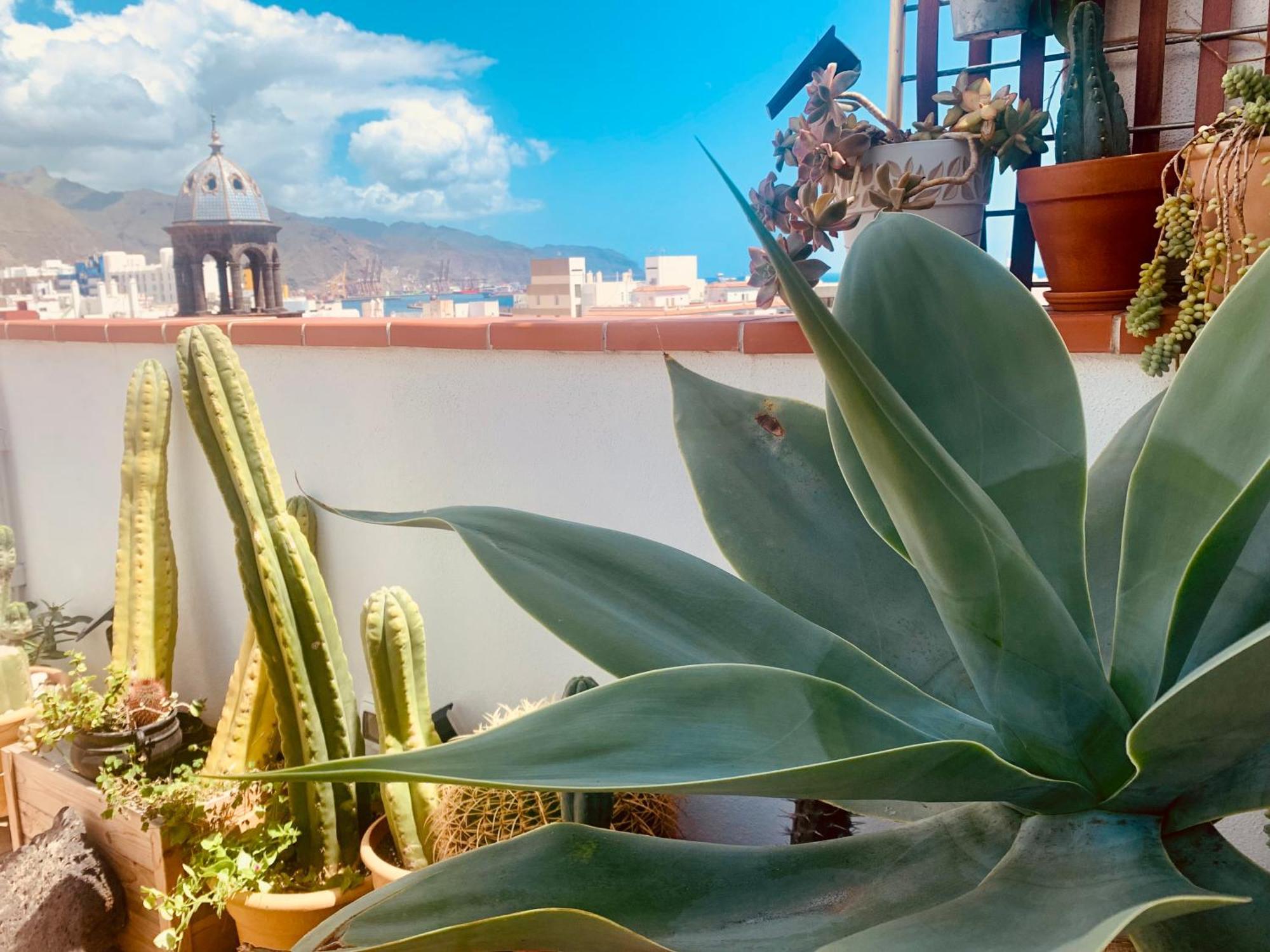 Atico Con Terraza, Vistas Panoramicas Y Parking Lejlighed Santa Cruz de Tenerife Eksteriør billede