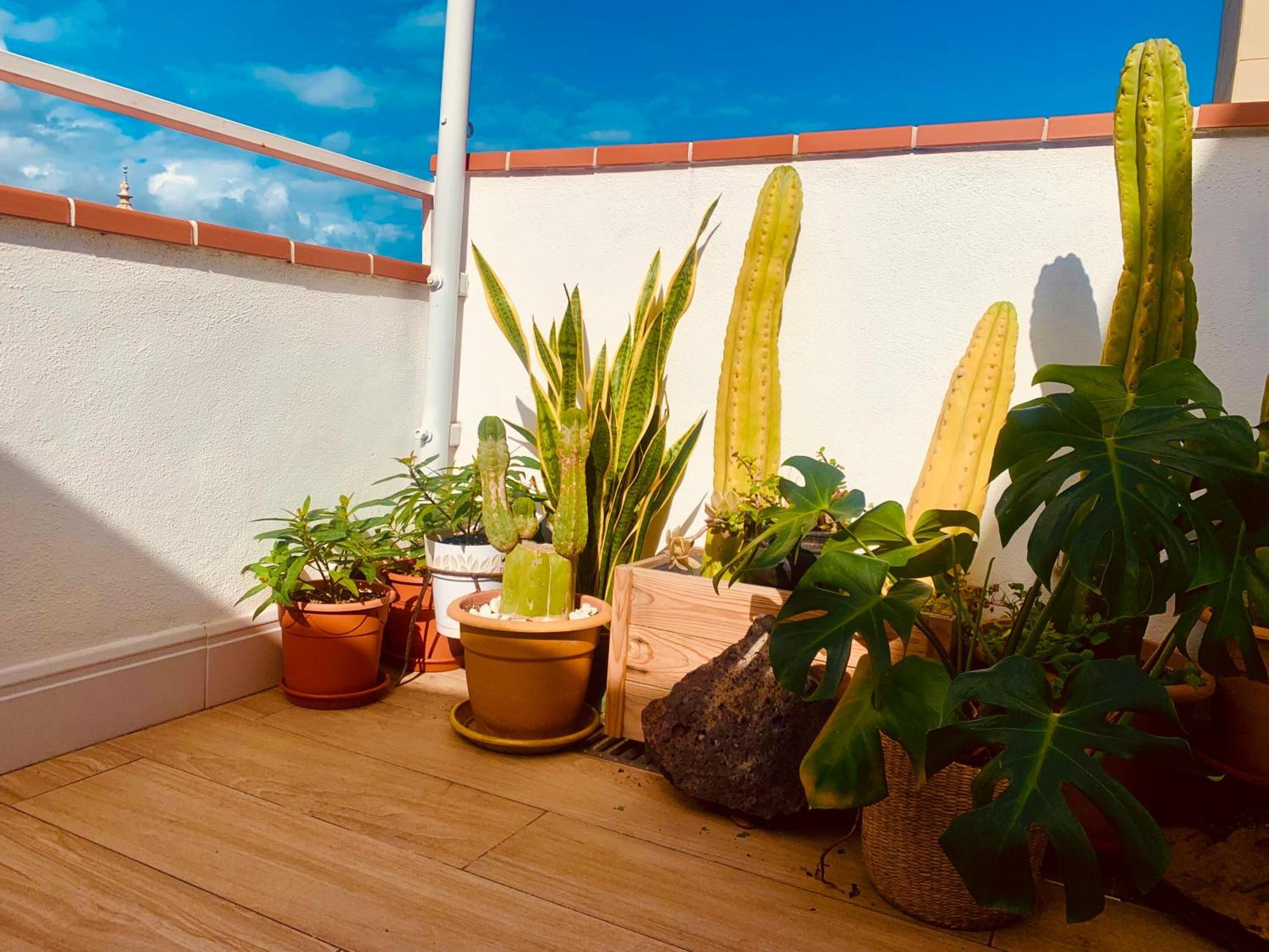 Atico Con Terraza, Vistas Panoramicas Y Parking Lejlighed Santa Cruz de Tenerife Eksteriør billede